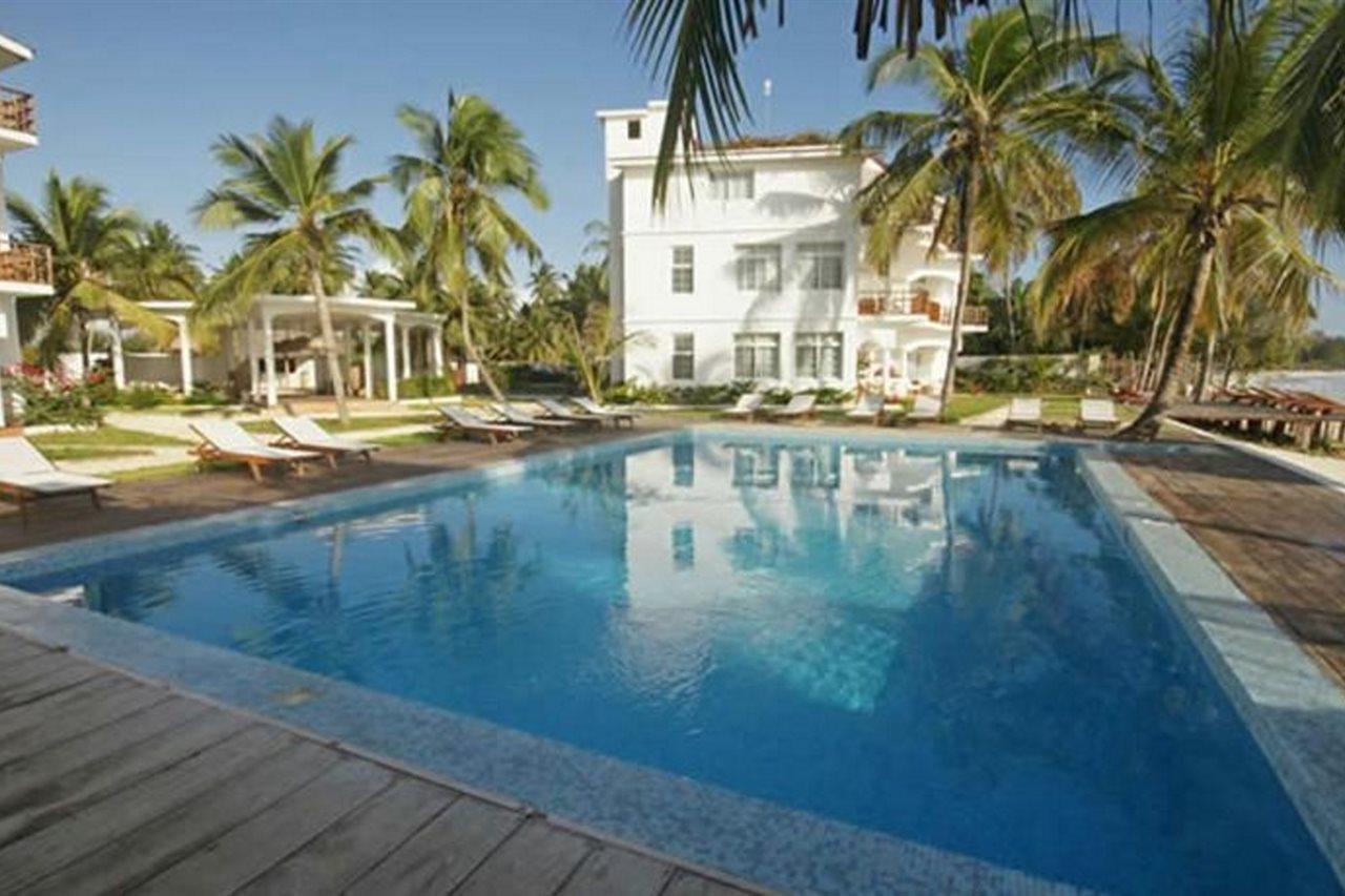 Hotel Albatross Ocean View à Dongwe Extérieur photo