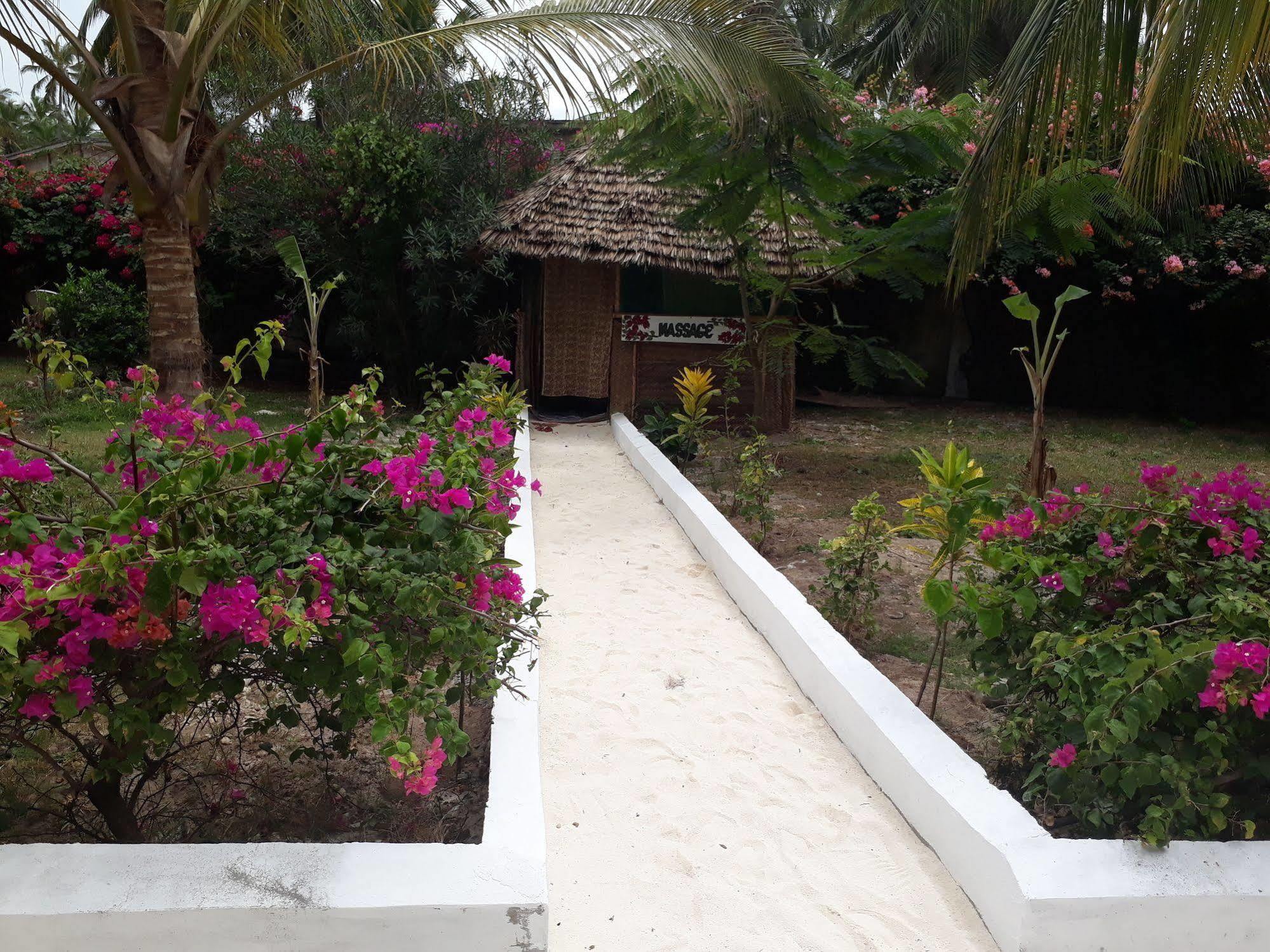 Hotel Albatross Ocean View à Dongwe Extérieur photo